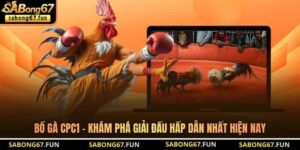 Tin Tức Đá Gà SABONG67 – Cập Nhật Thông Tin Đá Gà Mới Nhất - VIP88