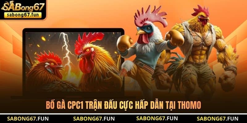 Bồ Gà CPC1 – Khám Phá Trường Gà Hấp Dẫn Nhất Hiện Nay - VIP88 Bồ Gà CPC1 – Khám Phá Trường Gà Hấp Dẫn Nhất Hiện Nay - VIP88