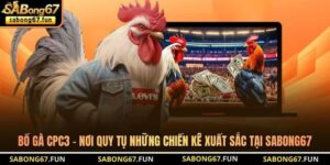 Tin Tức Đá Gà SABONG67 – Cập Nhật Thông Tin Đá Gà Mới Nhất - VIP88
