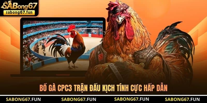 Bồ Gà CPC3 – Nơi Quy Tụ Những Chiến Kê Xuất Sắc Tại SABONG67 - VIP88 Bồ Gà CPC3 – Nơi Quy Tụ Những Chiến Kê Xuất Sắc Tại SABONG67 - VIP88