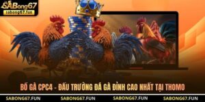 Tin Tức Đá Gà SABONG67 – Cập Nhật Thông Tin Đá Gà Mới Nhất - VIP88