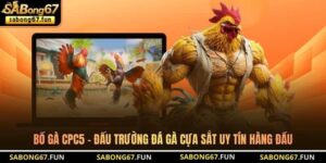Tin Tức Đá Gà SABONG67 – Cập Nhật Thông Tin Đá Gà Mới Nhất - VIP88