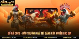 Tin Tức Đá Gà SABONG67 – Cập Nhật Thông Tin Đá Gà Mới Nhất - VIP88