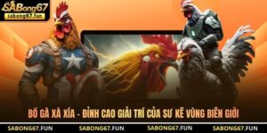 Tin Tức Đá Gà SABONG67 – Cập Nhật Thông Tin Đá Gà Mới Nhất - VIP88