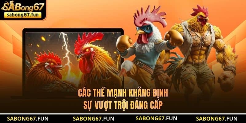 Giới Thiệu SABONG67 - Thương Hiệu Phát Sóng Trực Tiếp Đá Gà - VIP88
