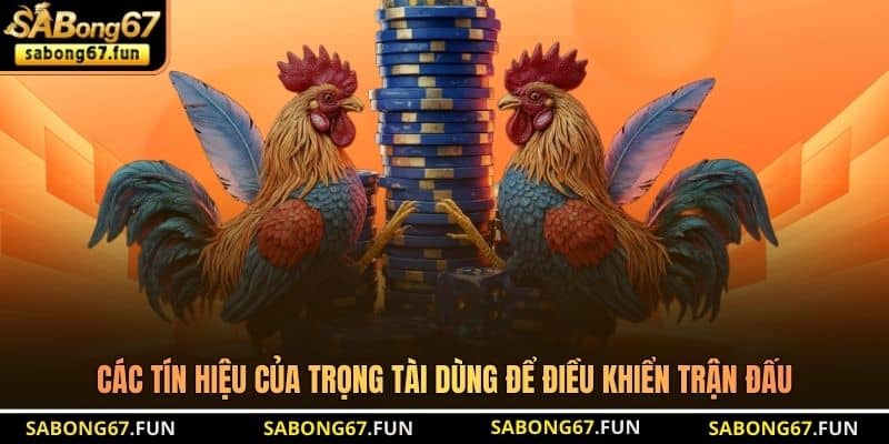 Thuật Ngữ Trong Đá Gà SABONG67 Chuẩn Nhất Năm 2026 - VIP88 Thuật Ngữ Trong Đá Gà SABONG67 Chuẩn Nhất Năm 2026 - VIP88