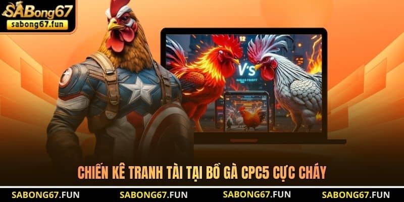 Bồ Gà CPC5 - Đấu Trường Đá Gà Cựa Sắt Uy Tín Hàng Đầu - VIP88 Bồ Gà CPC5 - Đấu Trường Đá Gà Cựa Sắt Uy Tín Hàng Đầu - VIP88