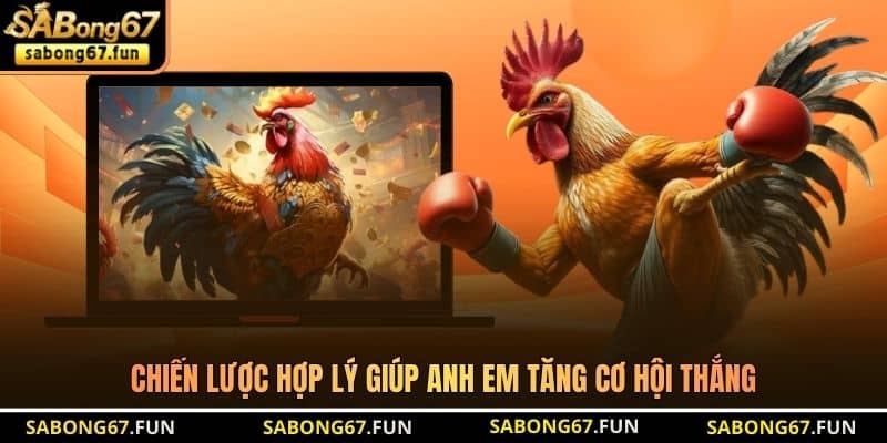 Bồ Gà CPC1 – Khám Phá Trường Gà Hấp Dẫn Nhất Hiện Nay - VIP88 Bồ Gà CPC1 – Khám Phá Trường Gà Hấp Dẫn Nhất Hiện Nay - VIP88