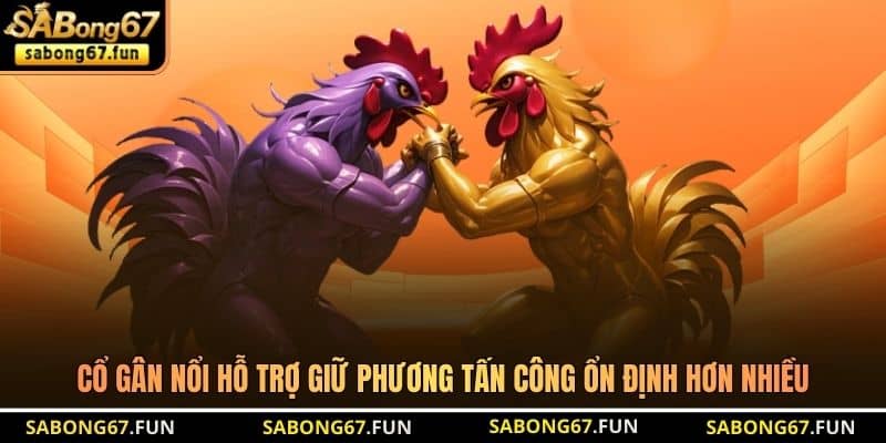 Cách Nhận Biết Gà Đá Hay Chuẩn Nhất Cho Các Sư Kê SABONG67 - VIP88