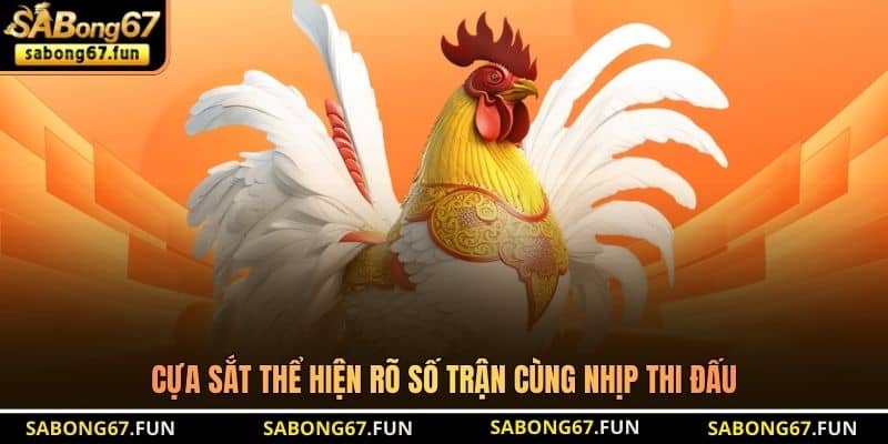 Giải Đá Gà SABONG67 - Thông Tin Chuẩn Cho Thành Viên - VIP88 Giải Đá Gà SABONG67 - Thông Tin Chuẩn Cho Thành Viên - VIP88