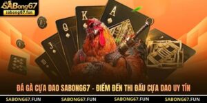 Tin Tức Đá Gà SABONG67 – Cập Nhật Thông Tin Đá Gà Mới Nhất - VIP88