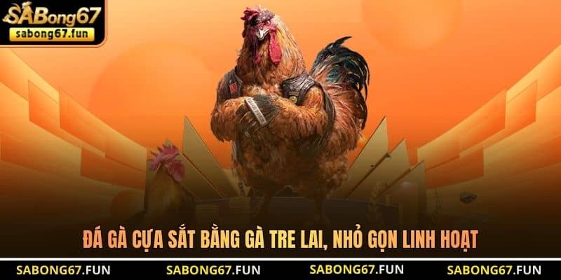 Đá Gà Cựa Sắt SABONG67 – Hình Thức Chọi Gà Hot Tại Thomo - VIP88 Đá Gà Cựa Sắt SABONG67 – Hình Thức Chọi Gà Hot Tại Thomo - VIP88