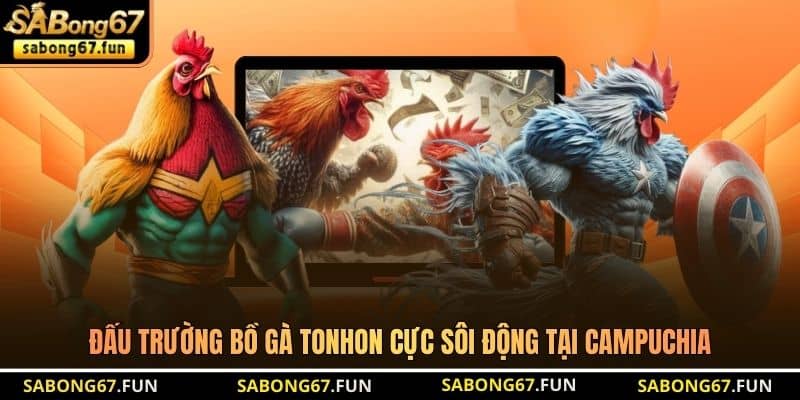 Bồ Gà Tonhon - Đấu Trường Đá Gà Trực Tiếp Đẳng Cấp Nhất - VIP88 Bồ Gà Tonhon - Đấu Trường Đá Gà Trực Tiếp Đẳng Cấp Nhất - VIP88