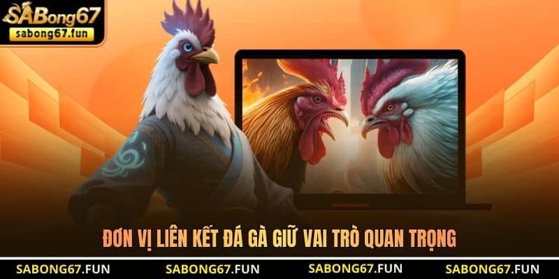 Đối Tác Quốc Tế SABONG67 - Vị Thế Trên Thị Trường Đá Gà - VIP88 Đối Tác Quốc Tế SABONG67 - Vị Thế Trên Thị Trường Đá Gà - VIP88