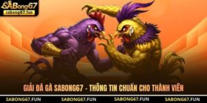 Kinh Nghiệm Đá Gà SABONG67 – Chiến Thuật Chọn Kèo Thực Chiến - VIP88
