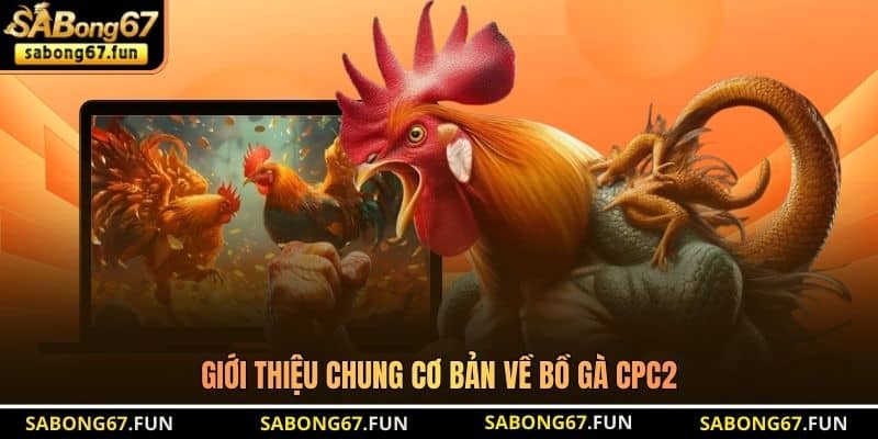Bồ Gà CPC2 – Sới Đấu Khai Sinh Chiến Kê Huyền Thoại - VIP88 Bồ Gà CPC2 – Sới Đấu Khai Sinh Chiến Kê Huyền Thoại - VIP88