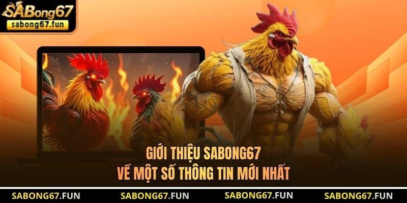 Giới Thiệu SABONG67 - Thương Hiệu Phát Sóng Trực Tiếp Đá Gà - VIP88