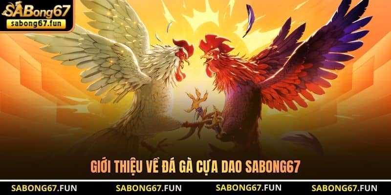 Đá Gà Cựa Dao SABONG67 – Điểm Đến Thi Đấu Cựa Dao Uy Tín - VIP88 Đá Gà Cựa Dao SABONG67 – Điểm Đến Thi Đấu Cựa Dao Uy Tín - VIP88