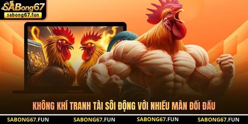 Bồ Gà CPC4 – Đấu Trường Đá Gà Đỉnh Cao Nhất Tại Thomo - VIP88 Bồ Gà CPC4 – Đấu Trường Đá Gà Đỉnh Cao Nhất Tại Thomo - VIP88