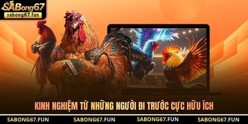Bồ Gà CPC4 – Đấu Trường Đá Gà Đỉnh Cao Nhất Tại Thomo - VIP88 Bồ Gà CPC4 – Đấu Trường Đá Gà Đỉnh Cao Nhất Tại Thomo - VIP88