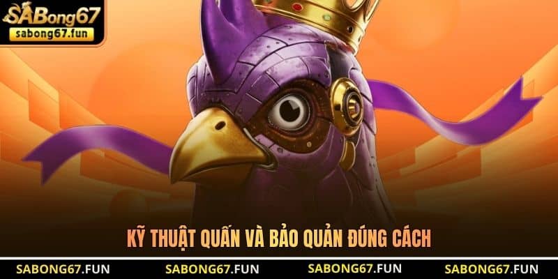 Băng Cựa Gà Đá - Bí Quyết Bảo Vệ Chiến Kê Hiệu Quả - VIP88 Băng Cựa Gà Đá - Bí Quyết Bảo Vệ Chiến Kê Hiệu Quả - VIP88