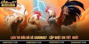 Kinh Nghiệm Đá Gà SABONG67 – Chiến Thuật Chọn Kèo Thực Chiến - VIP88