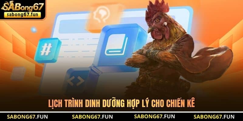 Chế Độ Ăn Gà Đá - Bí Quyết Nuôi Chiến Kê Sung Sức - VIP88 Chế Độ Ăn Gà Đá - Bí Quyết Nuôi Chiến Kê Sung Sức - VIP88