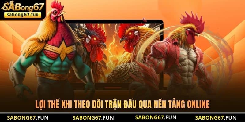 Bồ Gà Tonhon - Đấu Trường Đá Gà Trực Tiếp Đẳng Cấp Nhất - VIP88 Bồ Gà Tonhon - Đấu Trường Đá Gà Trực Tiếp Đẳng Cấp Nhất - VIP88