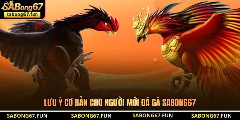 Đá Gà Cựa Dao SABONG67 – Điểm Đến Thi Đấu Cựa Dao Uy Tín - VIP88 Đá Gà Cựa Dao SABONG67 – Điểm Đến Thi Đấu Cựa Dao Uy Tín - VIP88