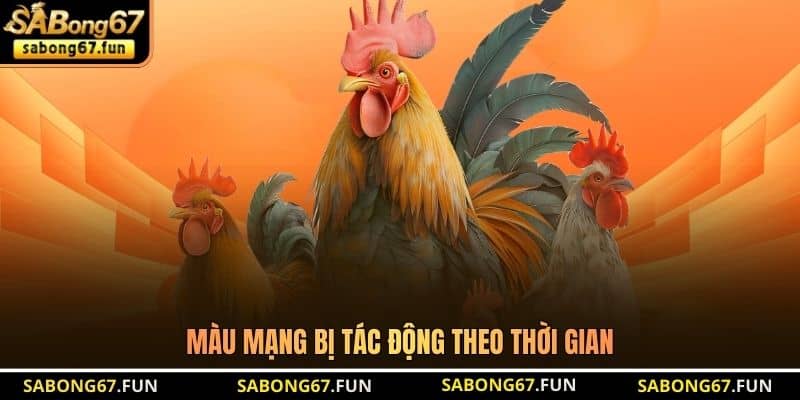 Màu Mạng Đá Gà SABONG67 - Bí Kíp Giúp Tìm Ra Chiến Kê Mạnh - VIP88