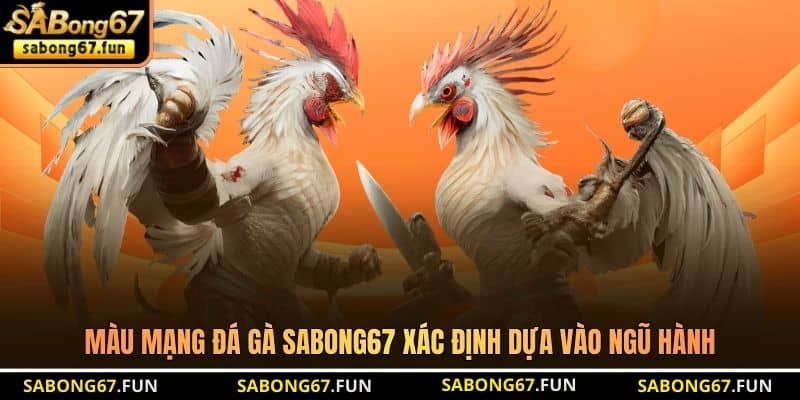 Màu Mạng Đá Gà SABONG67 - Bí Kíp Giúp Tìm Ra Chiến Kê Mạnh - VIP88