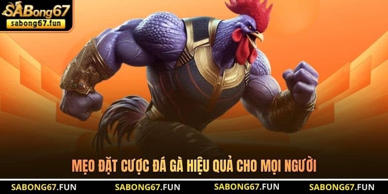 Mẹo Đặt Cược Đá Gà - Bí Quyết Cược Thắng Lớn Từ SABONG67 - VIP88 Mẹo Đặt Cược Đá Gà - Bí Quyết Cược Thắng Lớn Từ SABONG67 - VIP88