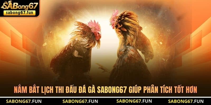 Lịch Thi Đấu Đá Gà SABONG67 - Cập Nhật Chi Tiết Nhất - VIP88 Lịch Thi Đấu Đá Gà SABONG67 - Cập Nhật Chi Tiết Nhất - VIP88