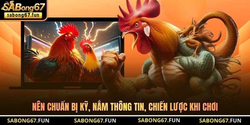 Bồ Gà CPC3 – Nơi Quy Tụ Những Chiến Kê Xuất Sắc Tại SABONG67 - VIP88 Bồ Gà CPC3 – Nơi Quy Tụ Những Chiến Kê Xuất Sắc Tại SABONG67 - VIP88