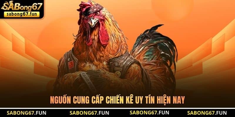 Mua Gà Đá Chất Lượng - Bí Quyết Lựa Chọn Chiến Kê Bất Bại - VIP88 Mua Gà Đá Chất Lượng - Bí Quyết Lựa Chọn Chiến Kê Bất Bại - VIP88