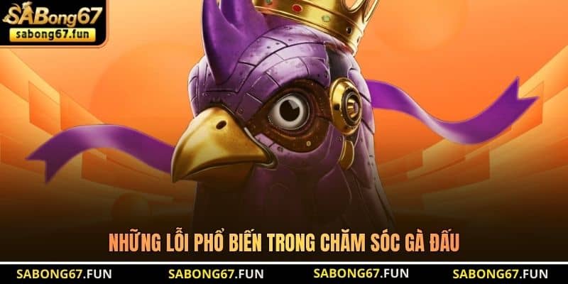 Phục Hồi Sau Trận Gà - Bí Quyết Chăm Sóc Chiến Kê Toàn Diện - VIP88 Phục Hồi Sau Trận Gà - Bí Quyết Chăm Sóc Chiến Kê Toàn Diện - VIP88