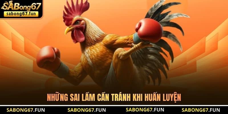 Chuẩn Bị Gà Trước Khi Đá - Bí Quyết Tạo Chiến Kê Bất Bại - VIP88 Chuẩn Bị Gà Trước Khi Đá - Bí Quyết Tạo Chiến Kê Bất Bại - VIP88