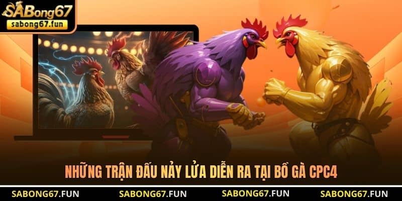 Bồ Gà CPC4 – Đấu Trường Đá Gà Đỉnh Cao Nhất Tại Thomo - VIP88 Bồ Gà CPC4 – Đấu Trường Đá Gà Đỉnh Cao Nhất Tại Thomo - VIP88