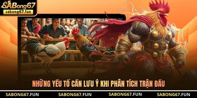 Bồ Gà Tonhon - Đấu Trường Đá Gà Trực Tiếp Đẳng Cấp Nhất - VIP88 Bồ Gà Tonhon - Đấu Trường Đá Gà Trực Tiếp Đẳng Cấp Nhất - VIP88