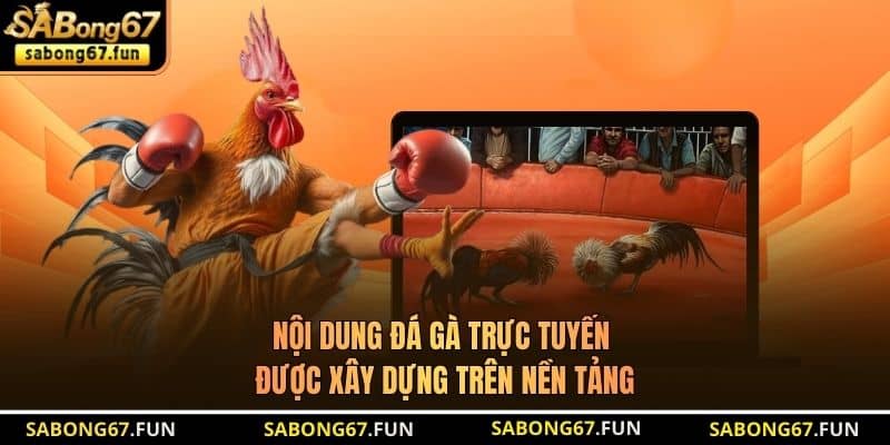 Giới Thiệu SABONG67 - Thương Hiệu Phát Sóng Trực Tiếp Đá Gà - VIP88