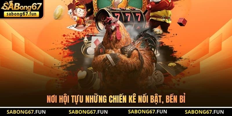 Đá Gà Cựa Sắt SABONG67 – Hình Thức Chọi Gà Hot Tại Thomo - VIP88 Đá Gà Cựa Sắt SABONG67 – Hình Thức Chọi Gà Hot Tại Thomo - VIP88