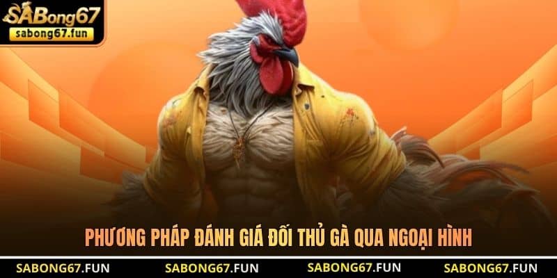 Đánh Giá Đối Thủ Gà - Bí Quyết Phân Tích Chiến Kê Chuẩn - VIP88 Đánh Giá Đối Thủ Gà - Bí Quyết Phân Tích Chiến Kê Chuẩn - VIP88