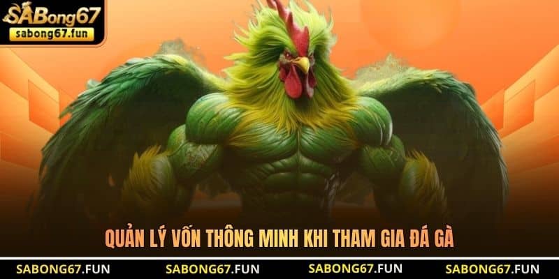 Mẹo Đặt Cược Đá Gà - Bí Quyết Cược Thắng Lớn Từ SABONG67 - VIP88 Mẹo Đặt Cược Đá Gà - Bí Quyết Cược Thắng Lớn Từ SABONG67 - VIP88
