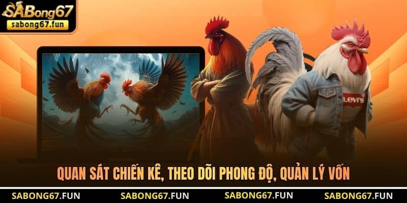 Bồ Gà CPC2 – Sới Đấu Khai Sinh Chiến Kê Huyền Thoại - VIP88 Bồ Gà CPC2 – Sới Đấu Khai Sinh Chiến Kê Huyền Thoại - VIP88