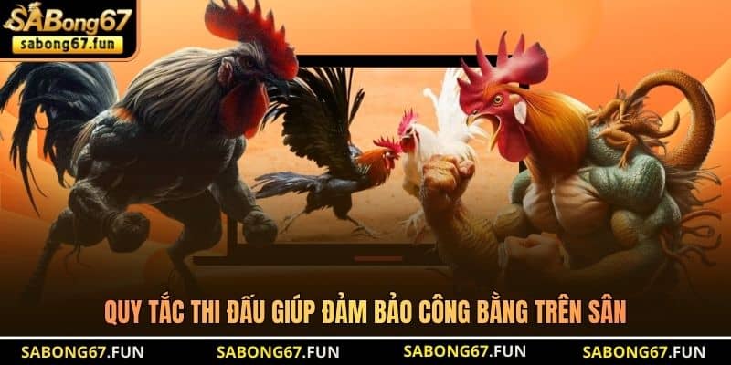 Bồ Gà CPC6 – Đấu Trường Giải Trí Đẳng Cấp Xuyên Lục Địa - VIP88 Bồ Gà CPC6 – Đấu Trường Giải Trí Đẳng Cấp Xuyên Lục Địa - VIP88