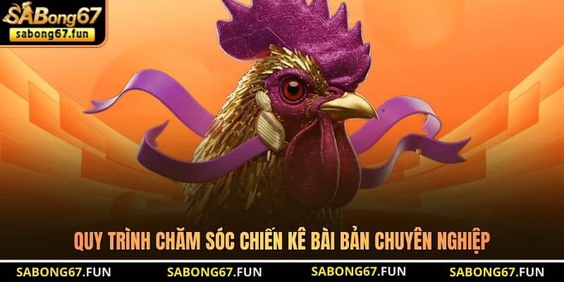 Phục Hồi Sau Trận Gà - Bí Quyết Chăm Sóc Chiến Kê Toàn Diện - VIP88 Phục Hồi Sau Trận Gà - Bí Quyết Chăm Sóc Chiến Kê Toàn Diện - VIP88