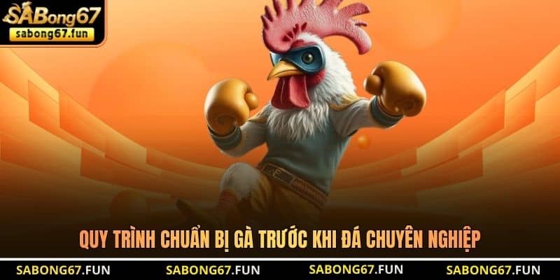 Chuẩn Bị Gà Trước Khi Đá - Bí Quyết Tạo Chiến Kê Bất Bại - VIP88 Chuẩn Bị Gà Trước Khi Đá - Bí Quyết Tạo Chiến Kê Bất Bại - VIP88
