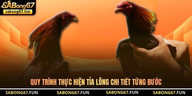 Cách Tỉa Lông Gà Chọi - Kỹ Thuật Giúp Chiến Kê Nhảy Tốt - VIP88 Cách Tỉa Lông Gà Chọi - Kỹ Thuật Giúp Chiến Kê Nhảy Tốt - VIP88