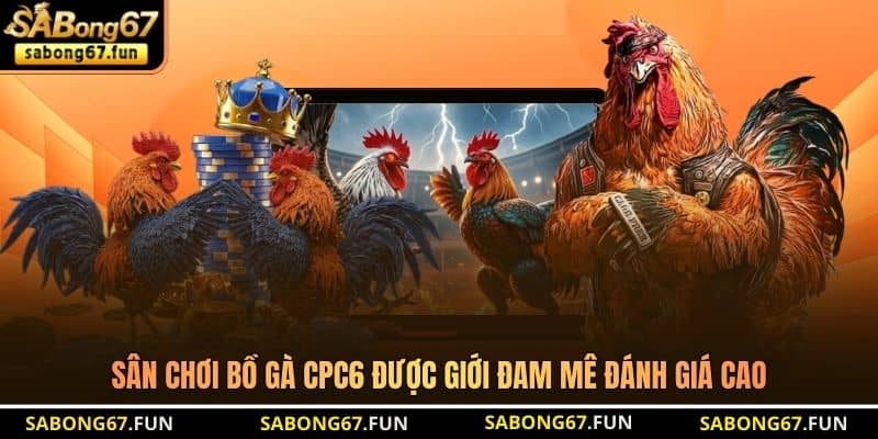 Bồ Gà CPC6 – Đấu Trường Giải Trí Đẳng Cấp Xuyên Lục Địa - VIP88 Bồ Gà CPC6 – Đấu Trường Giải Trí Đẳng Cấp Xuyên Lục Địa - VIP88