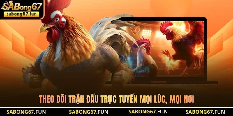 Bồ Gà CPC3 – Nơi Quy Tụ Những Chiến Kê Xuất Sắc Tại SABONG67 - VIP88 Bồ Gà CPC3 – Nơi Quy Tụ Những Chiến Kê Xuất Sắc Tại SABONG67 - VIP88